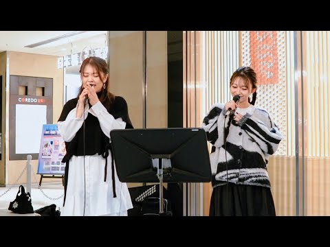 雪の華/中島美嘉   consado 路上ライブ 日本橋