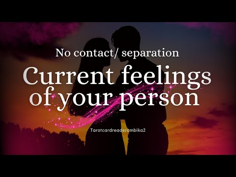 current feelings of your person #love #tarot #tarotreading #currentfeelings #youtubeshort #trending