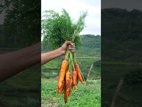 Organic Carrot Halwa #shorts