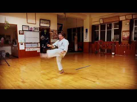 Uechiryu Karate Kata: Dai Ni Seisan (Kanshū) #karate #okinawa #空手 #沖縄 #上地流 #uechiryu