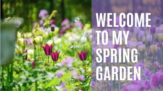 Welcome to my spring garden ...