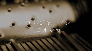 アルジャーノン ヨルシカ 歌詞動画