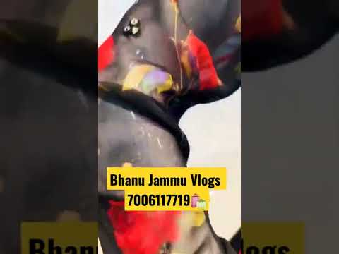 new dress Variety call 7006117719 #bhanujammuvlogs #jammu #market #trending