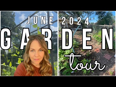 June 2024 Garden Tour: Sustainable Living | Back to Eden Gardening