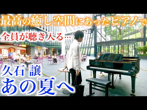 昼休憩中…最高の癒し空間にあったピアノで『あの夏へ』弾いたら全員が静寂に包まれる…【ストリートピアノ/ジブリ映画『千と千尋の神隠し』あの夏へ(いのちの名前)久石譲/新宿住友ビル三角広場】