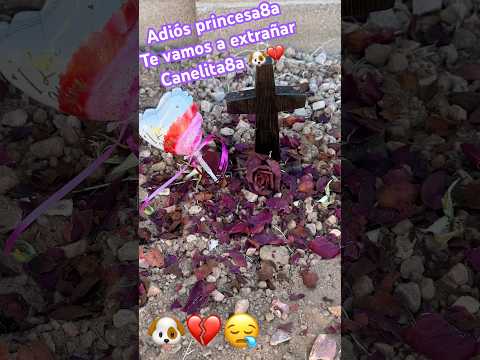 Adiós 👋 Canelita te vamos a extrañar mucho 😰 que recuerdos dejas 💔🥰