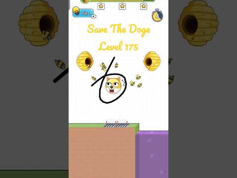 Save The Doge Level 175 3 STARS Gameplay. #savethedoge #shorts #gameplay #walkthrough #mobilegame