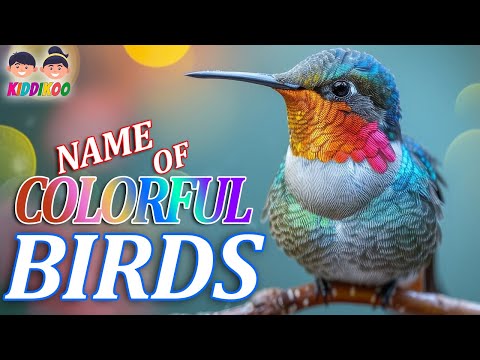 40+ Birds Name - Birds name with pictures - Birds Name In English - Birds Name With Sounds