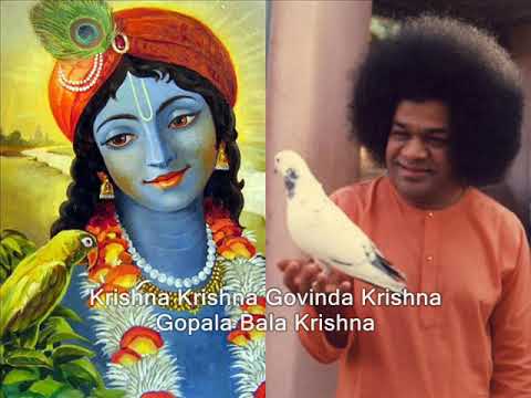 Sai Krishna Bhajan by P. Susheela (Krishna Krishna Govinda Krishna Gopala Bala Krishna)