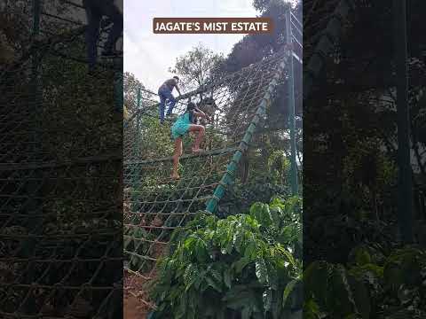 Net Climbing Activity #outdoorfun #shorts