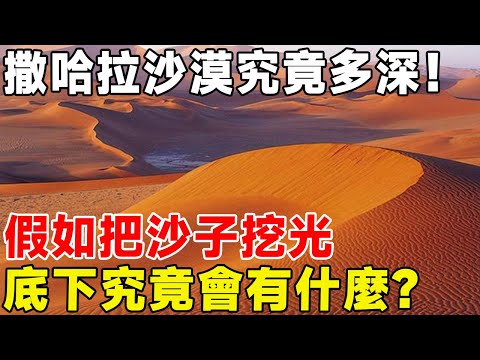 撒哈拉沙漠究竟多深！ 假如把沙子挖光，底下究竟會有什麼？#科普 #科普頻道