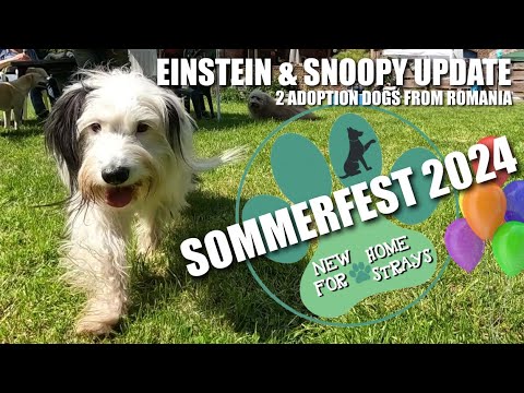 New Home for Strays Sommerfest 2024 - Einstein & Snoopy Update