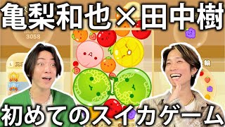 【スイカゲーム】SixTONES田中樹と初めてのゲーム実況でスイカゲームをプレイしたらハマりすぎてしまいました。