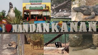 India's 2nd largest Zoo | Nandankanan Zoological Park Bhubaneswar | Nandankanan Zoo full tour