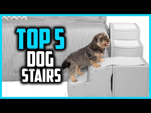 ✅Top 5 Best Dog Stairs in 2024