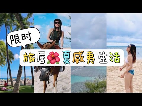 限时旅居🌺夏威夷远程工作旅游两周 海边骑马 海景民宿开箱 恐龙湾浮潜 Pillbox hike 爬山 凌晨3点起来工作？12点收工？Travel Vlog 2022 Hawaii Ep.1