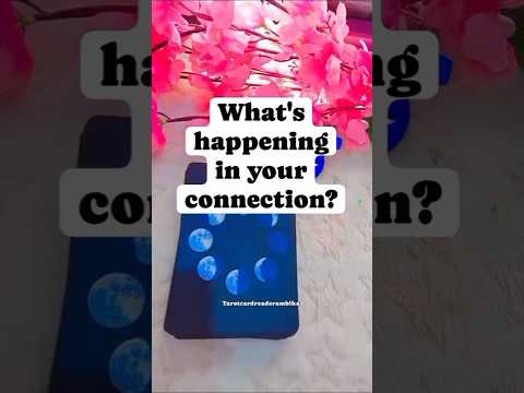 What's happening in your connection #tarot #love #romantic