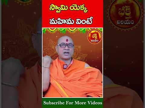 స్వామి యెక్క మహిమ వింటే #swamyseibadanda #trending #bhakti #shorts #bhakthinilayam