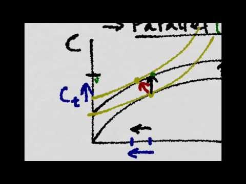 Real Business Cycle 2: Robinson Crusoe (2/2)