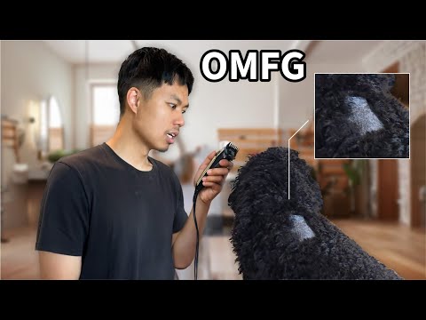 OMG!!! Dog Grooming Disaster 😭 I wish this was clickbait (Vlogmas Day 4)