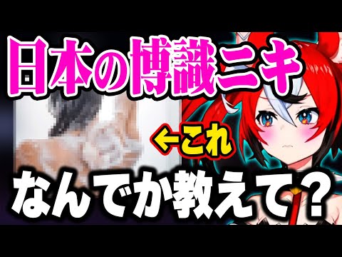 海外とは異なる"日本の不思議な習慣"について、日本ニキに質問があるベーちゃん【ホロライブ 切り抜き/ハコス・ベールズ/日本語翻訳】