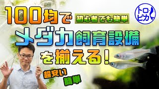 【激安】100均でメダカ飼育設備を揃える！初心者さんでも簡単です