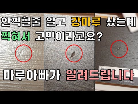 당신의 강마루가 잘 찍히는 이유_무엇을 사야할까?