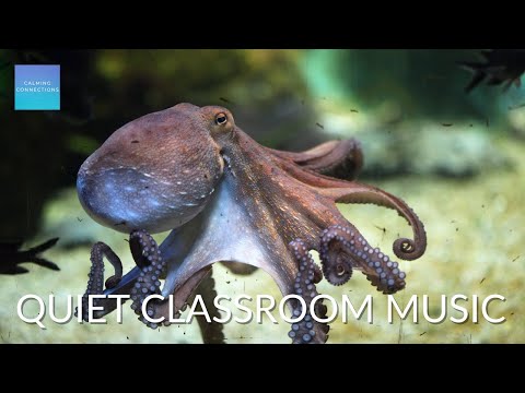 Quiet Classroom Music for Children 🐙 Octopus, Relaxing music for kids to study, calm classroom music