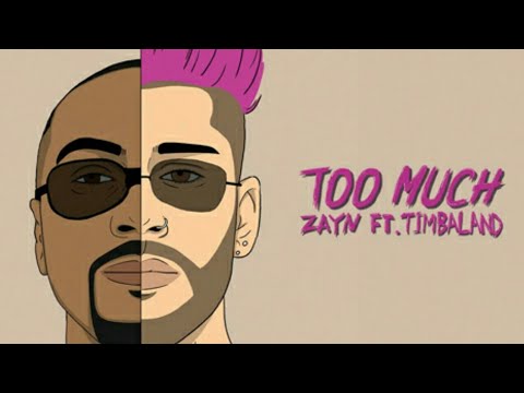 Zayn - Too Much ft. Timbaland (Lyrics)