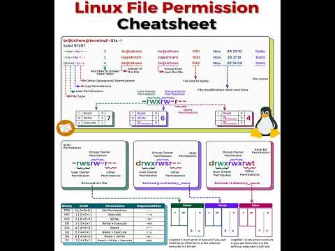 Linux File Permission