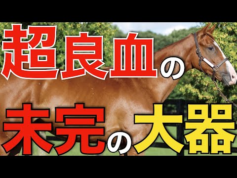 超絶血統の未完の大器が種牡馬入り！産駒がその能力を証明するか。