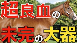 超絶血統の未完の大器が種牡馬入り！産駒がその能力を証明するか。