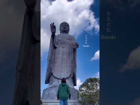 【世界一高い大仏】ギネス記録！茨城県牛久大仏！#ギネス#牛久大仏#大仏#絶景#茨城#世界一#旅