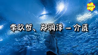 李玖哲/郑润泽 - 介质『无数次在梦里面梦见，相似的时间，相似的地点，相似的缘分差一点。』【动态歌词MV】