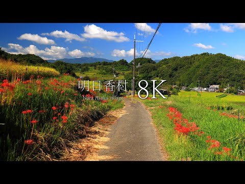 [Nostalgic Japanese homeland] 20 of the best views of Asuka Village - Nara, Japan in 8K