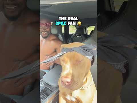 The real 2pac fan #trending #rap #tupacfan #shorts #shortvideo