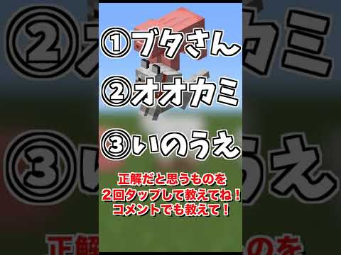 一番かわいいのは〇〇！？【マイクラ クイズ・マインクラフト】#shorts