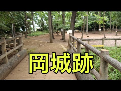 【城の絶景】岡城跡（埼玉県）「公園化してしまっている謎の城」