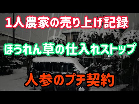 2月も逃げ道作りながらゆるりと高く出荷していきたい