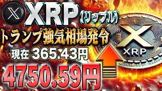 リップル最新！13倍への挑戦か！トランプ大統領ついに始動！！【仮想通貨】【シバコイン】【イーロンマスク】【ビットコイン】【SHIB】【XRP】【DOGE】【リップル】