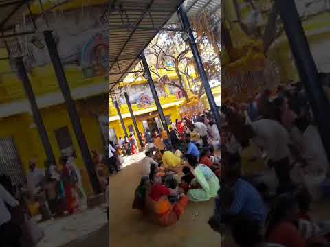 komuravelli mallanna swamy temple mallanna #ytshorts #mallanna #komuravelli #patnam #viral #shorts