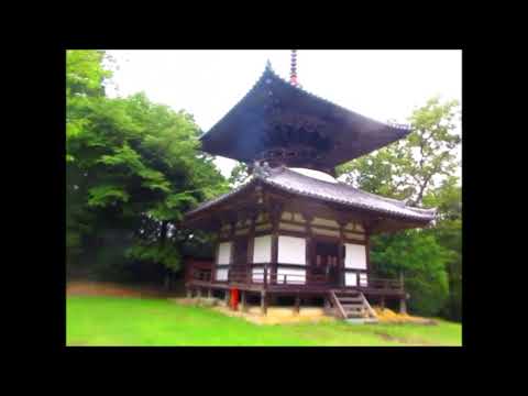 久々の朝光寺～つくばねの滝