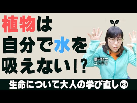 0からはじめる化学・生物学【植物生理学への道シリーズ③】植物の組織構成と水