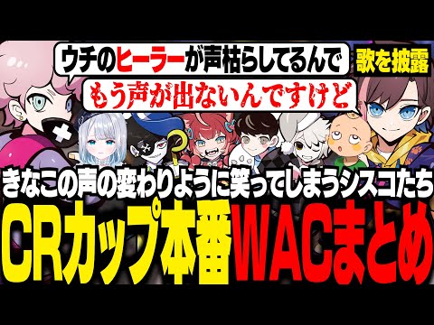 【CRカップ本番】試合を重ねるにつれて、どんどん声が枯れていくkinakoを見て笑ってしまうシスコたち【OW2/ふらんしすこ/切り抜き】