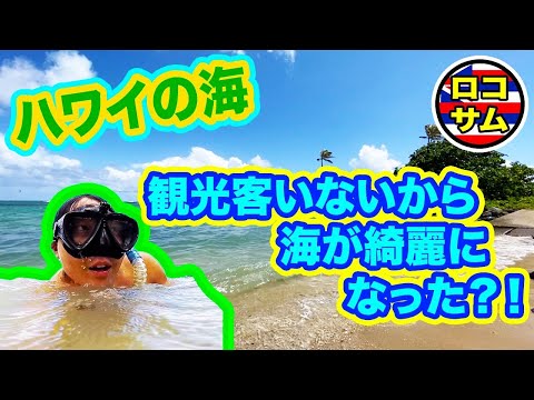 【ハワイのビーチ！】観光客が減って海が綺麗になったのか検証してみた！