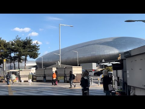 【韓国現地ライブ🇰🇷】12月韓国東大門現地ライブ‼️ 日曜の青空市場お買い物！戒厳令非常状態の東大門状況は？