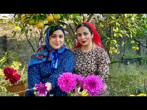 Autumn Daily Routine of Village Girls | Cooking Pomegranate Chicken Stew (Morgh Nardoni) in Village