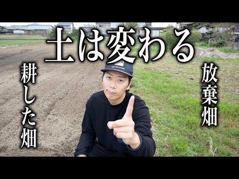 夏野菜に向けた土作りのやり方　土に入れるのは３つ！耕してる土と耕してない土との違いも見せます