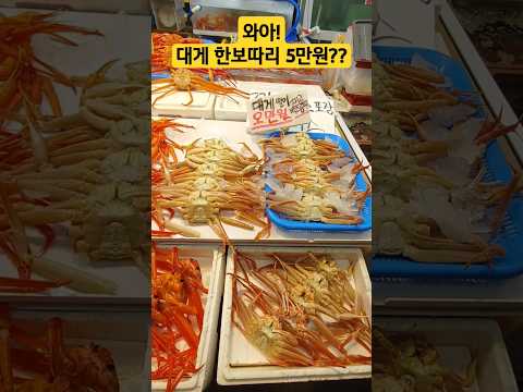 죽도시장  대게 홍게 싸도 너무 싸다