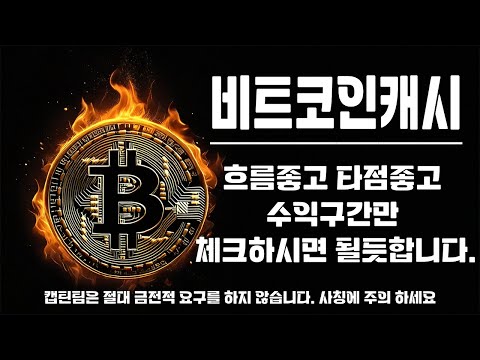 비트코인캐시 코인 전망 ㅣ 현재 비트코인 형제중에 가장흐름이 좋은종목 충분히 단기반등 노려볼 구간이 있습니다!!